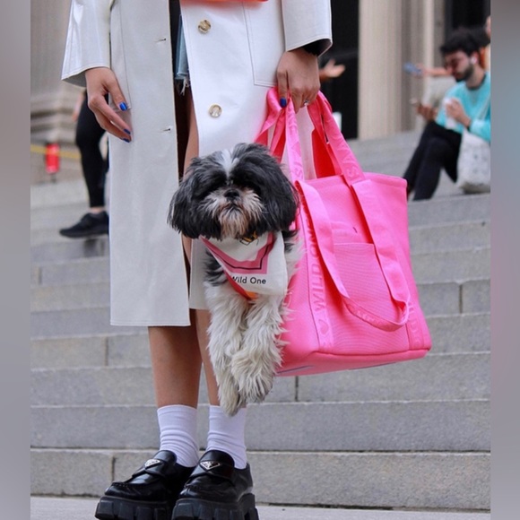 **SOLD OUT** NWT Isaac Mizrahi 💗🧡💗 Wild One Everyday Pet Carrier Dog Tote - Picture 1 of 9